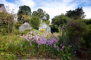 Front Garden- click for photo gallery